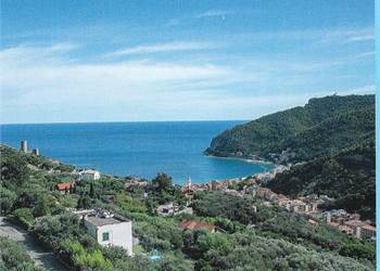 NOLI